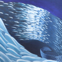 Sea Swarm | Acrylic on canvas | 2009