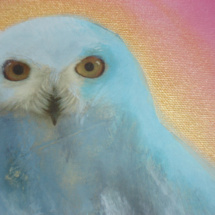 White Owl | Acrylic on canvas | 2010